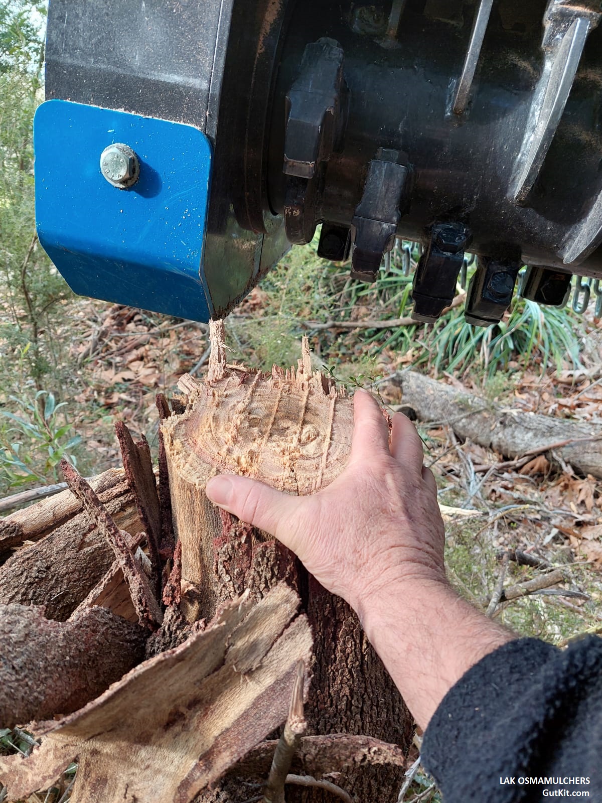 Мульчеры LASKA OSMA мощные и эффективные!