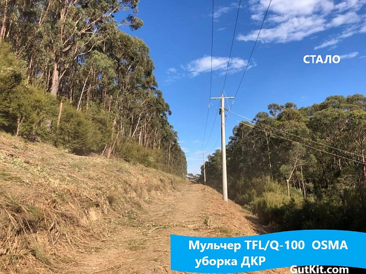 TFL мульчер для 8-15тн