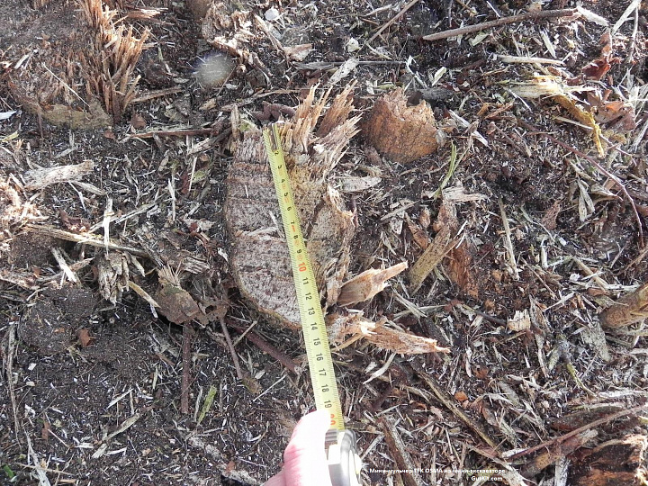 TFK мульчер для 2,5-6тн